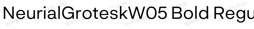 NeurialGroteskW05 Bold Regular字体转换